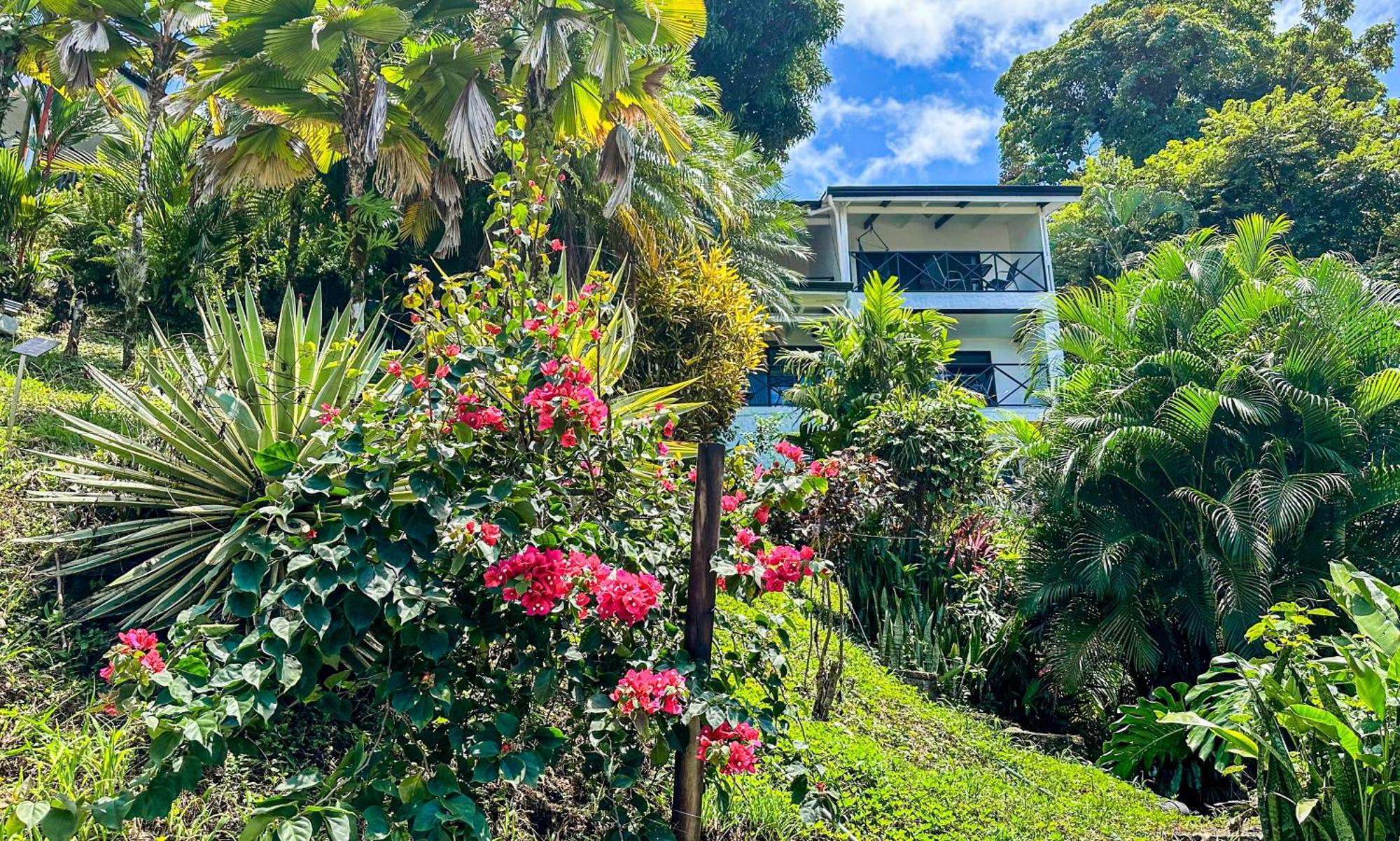 Villa Roca Boutique Resort & Suites - Adult Only マヌエル・アントニオ エクステリア 写真